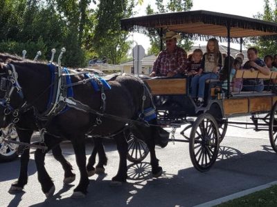 Horse drawn Carriage