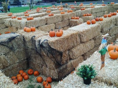 abcevents_img_haymazes